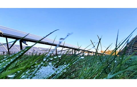 Seeing the potential agriculture holds for solar PV technology, and vice versa, Statkraft has announced a research partnership with Italy’s Bari Aldo Moro University to identify specific approaches to the space. (Photo Credit: Statkraft)
