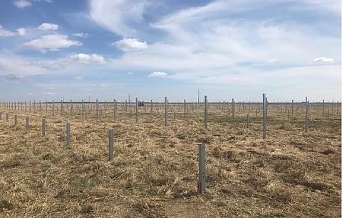 INTEC Energy Solutions & CHINT Solar will be developing a 154 MWp ground mounted photovoltaic power plant in Arges County, Romania, which will produce 124 GWh of solar energy each year. (Photo Credit: INTEC)