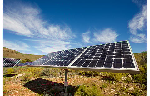 MSEDCL says solar projects under the tender will be preferred to be installed on barren/uncultivable land. Agrivoltaic projects will be permitted only if the plants are installed in stilt fashion with adequate spacing between rows. (Illustrative Photo; Photo Credit: Dewald Kirsten/Shutterstock.com)