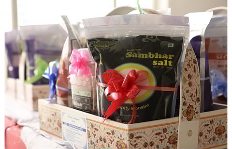 HSL is offering its Kharaghoda location for the development of 1 GW solar power capacity for which it is soliciting bids. (Photo Credit: IndianSalt.com)