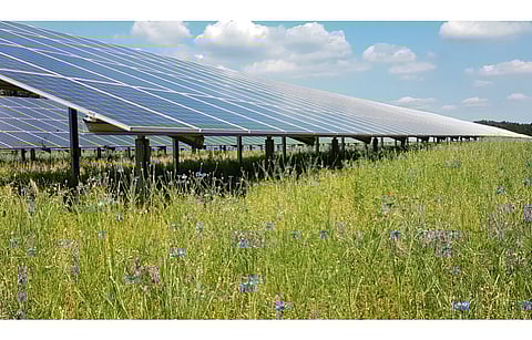 EnBW is expanding its renewable energy capacity for it to account for at least half of its total power generation portfolio by 2025 and to achieve the same, it has now agreed to acquire around 800 MW PV capacity from Procon Solar. (Photo Credit: Procon Solar GmbH)