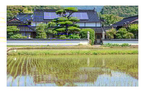 The world’s 4th largest solar market, Japan is seeing a growing interest in renewable energy as the JCI message supported by various quarters wants the government to increase its 2030 commitments. (Illustrative Photo; Photo Credit: WorldStock/Shutterstock.com)