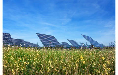 After launching solar tender for 900 MW capacity in Cuba back in January 2022, NTPC has now issued RFQ round for 1.15 GW PV and 150 MW/150 MWh storage capacity for the country. (Illustrative Photo; Photo Credit: Sergio Sergo/Shutterstock.com)