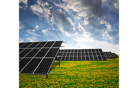 In Barbados, Sol Ecolution and Blue Circle Energy plan to co-develop distributed solar energy projects calling them Community Solar Gardens. (Illustrative Photo; Photo Credit: Vaclav Volrab/Shutterstock.com)