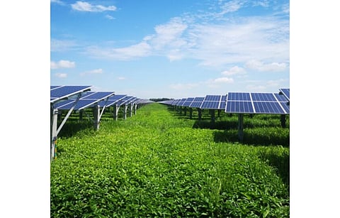 Boviet Solar to supply over 700 MW of its Vega bifacial solar modules to US developer Origis Energy in 2023. (Photo Credit: Boviet Solar)