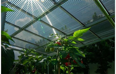 TubeSolar says its tubular solar modules (in the picture) that use flexible solar cells are suitable for agricultural as well as C&I rooftops. (Photo Credit: TubeSolar AG)