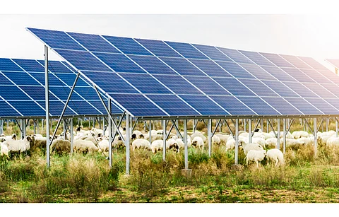 EDB backed 11 solar power plants are scheduled to come online in 2022 in Gegharkunik and Aragatsotn regions. (Illustrative Photo; Photo Credit: Jenson/Shutterstock.com)