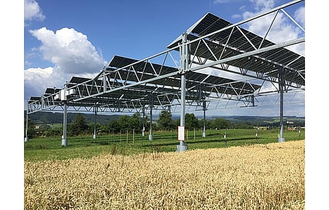 Researchers recommend suitable policy support and financial incentives for agrivoltaic to pick up as a concept in Germany so that there is dual use of land, for agricultural activities and electricity generation from solar panels. (Photo Credit: University of Hohenheim/Arndt Feuerbacher)