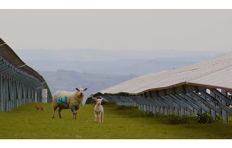 The JV arrangement with Nexta is Octopus’ 2nd chance in the Italian renewables market after it exited the same in February 2021 having sold 173 MW solar here. (Photo Credit: Octopus Energy Ltd)