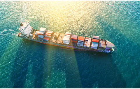 Among solar panels and polysilicon cells detained by the US CBP at its ports, majority include products by LONGi Green Energy Technology, Trina Solar and JinkoSolar, according to a Reuters report. (Illustrative Photo; Photo Credit: MAGNIFIER/Shutterstock.com)