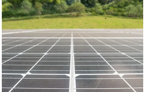 Rishi Sunak administration has indicated its support for solar energy expansion on farmland, taking a different approach from his predecessor Liz Truss. (Photo Credit: Solar Energy UK)