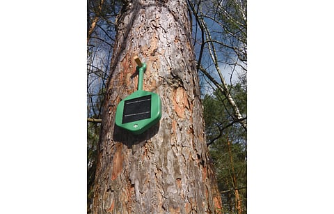 To cater to growing demand for its solar power based wildfire detection technology, Dryad says it is ramping up its production to produce 230,000 units by the end of 2023 and deploy 120 million by 2030. (Photo Credit: Dryad Networks GmbH)