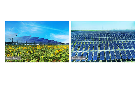Increasing applications: Agrovoltaics is a negligible, but very promising application of PV that enables land to be used for power production as well as for agriculture – and trackers are highly compatible for such applications.(Source: Clenergy)