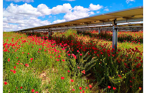 Iberdrola will build 2.2 GW solar and wind projects with the help of EIB’s €1 billion loan. (Photo Credit: Iberdrola)