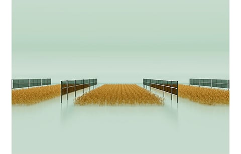 Schletter Group unveiled its agri-PV solution called SolFarm and solar carport solution called SunRide at Intersolar. (Photo Credit: Schletter Group)