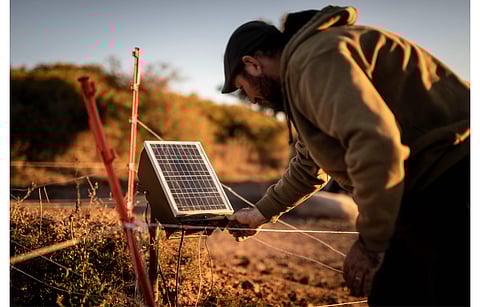 To support Argentina’s efforts to expand the use of renewable energy in the country, the World Bank recently committed $400 million for distributed energy generation for vulnerable communities. (Photo Credit: Government of Argentina)