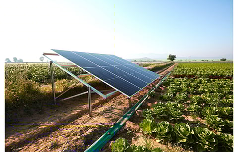 IIASA study looks at the economic feasibility of solar irrigation in Sub-Saharan Africa. (Illustrative Photo; Photo Credit: Red Stock/Shutterstock.com)