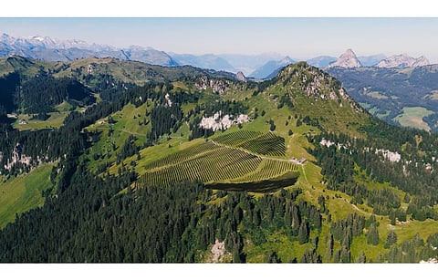 Axpo is expanding its alpine solar projects portfolio with a 9 MW PV facility which will supply electricity generated to EWS. (Photo Credit: EWS AG)