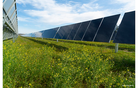Following an agreement with fellow thin film CdTe module manufacturer First Solar, Toledo has decided to focus on hardened solar panels for geographies with most significant heat, humidity and harsh weather environments. (Photo Credit: First Solar, Inc.)