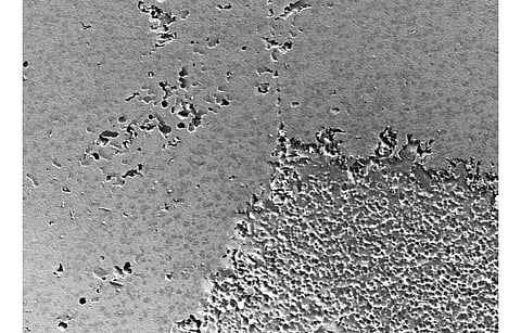 Fraunhofer CSP says it may work with Bremer & Leguil GmbH to provide recommendations for the number of cleaning cycles, the exposure time and the ideal application concentration of cleaning agents for solar modules. (Photo Credit: Fraunhofer CSP)