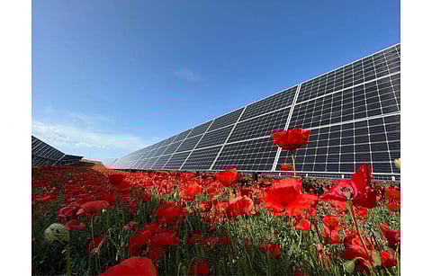 Solaria and Bruc from Spain have secured EIB financing to further their renewable energy pipeline. (Photo Credit: Solaria Energia y Medio Ambiente)