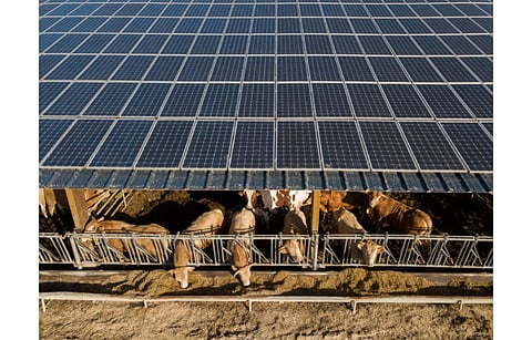 Agricultural sector is one of the target segments for Tenergie and Crédit Agricole’s French solar PV JVs. Pictured are solar panels on a farm in Gronde, France. (Illustrative Photo; Photo Credit: SpiritProd33/Shutterstock.com)