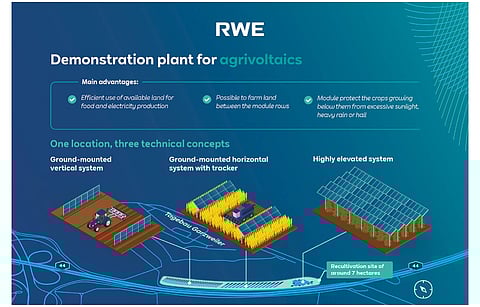 The innovative agrivoltaic project in Germany is supported by the State of North Rhine-Westphalia. (Photo Credit: RWE)