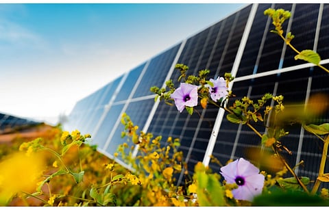 Lightsource bp has raised $348 million to advance its 288 MW solar portfolio in Texas, US. (Photo Credit: Lightsource bp)