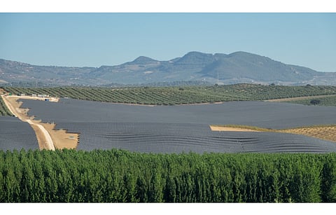 Shell’s Savion subsidiary has secured approval to build what is currently being touted as the largest announced agrivoltaic project in the US. (Illustrative Photo; Photo Credit: Miguel Angel RM/Shutterstock.com)