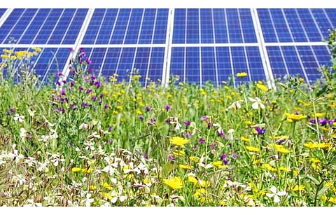 RWE has started constructing 330 MW solar and 45 MW co-located storage projects in the UK. (Photo Credit: RWE AG)