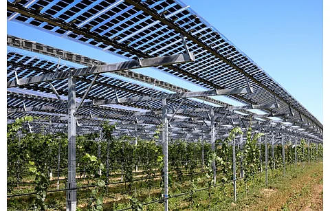 France aims for its rules to guide PV stakeholders and agricultural community to develop agrivoltaic projects. (Illustrative Photo; Photo Credit: Marina Lohrbach/Shutterstock.com)