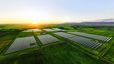 Trina will supply 117 MW of high-performance solar modules to multiple projects by Petrogreen’s subsidiary Rizal Green Energy Corporation. Pictured is the Kaitāia agrivoltaic solar farm in New Zealand equipped with Trina Solar’s panels. (Photo Credit: Trina Solar)