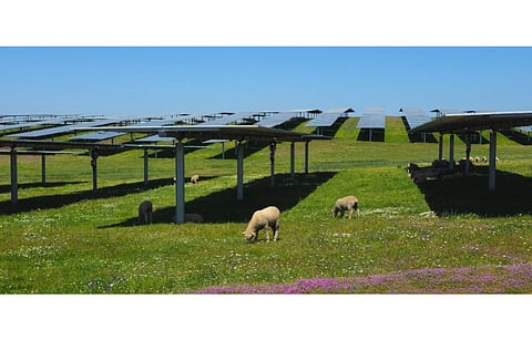 BRUC has signed 3 solar PPAs with Digital Realty with 12-year duration each. (Photo Credit: BRUC)