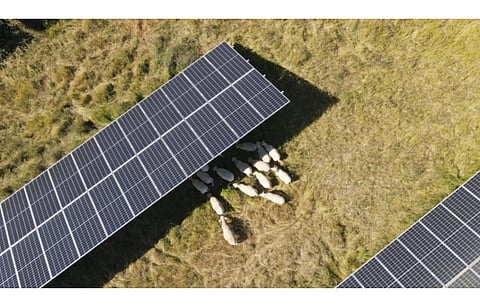 VALOREM’s French agrivoltaic project has secured a long-term corporate solar PPA. (Photo Credit: VALOREM)