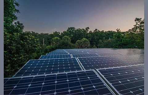 Once operational, the Cobbora Solar Farm will power about approximately 280,000 average-sized homes. (Illustrative Image; Photo Credit: Lydia Saccio / Shutterstock.com)