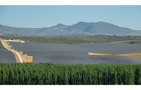 Agrivoltaics is an opportunity that Gunvor and Quercus plan to explore in the Italian market. (Illustrative Photo; Photo Credit: Miguel Angel RM/Shutterstock.com)