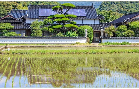 Japanese businesses and civil society are demanding an expansion in the country’s energy targets under the 7th Strategic Energy Plan. (Illustrative Photo; Photo Credit: WorldStock/Shutterstock.com)