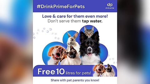 Bengaluru Startup DrinkPrime Launches #DrinkPrimeForPets Campaign