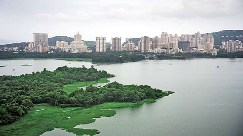 Powai Lake