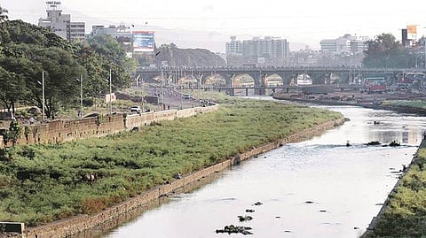 Mula River