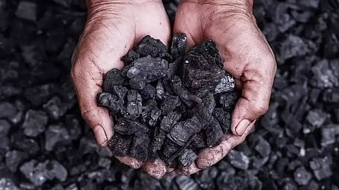 Coal
