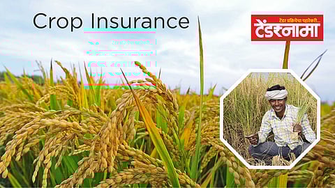 Crop Insurance