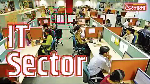 IT Sector