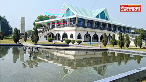 Dragon Palace