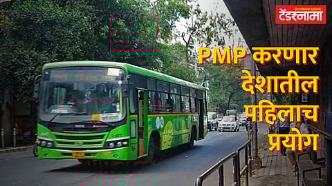 PMP