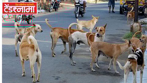Street Dogs