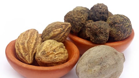 கடுக்காயில் நிறைந்திருக்கும் மருத்துவ குணங்கள்