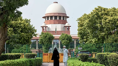 Supreme Court Of India on Street Dog Attacks in Delhi