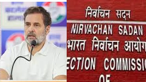 Election Commission advised against using the term "vote theft" to denigrate voters
