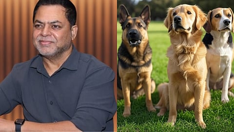 Music Director James Vasanthan About Street Dog Issue
